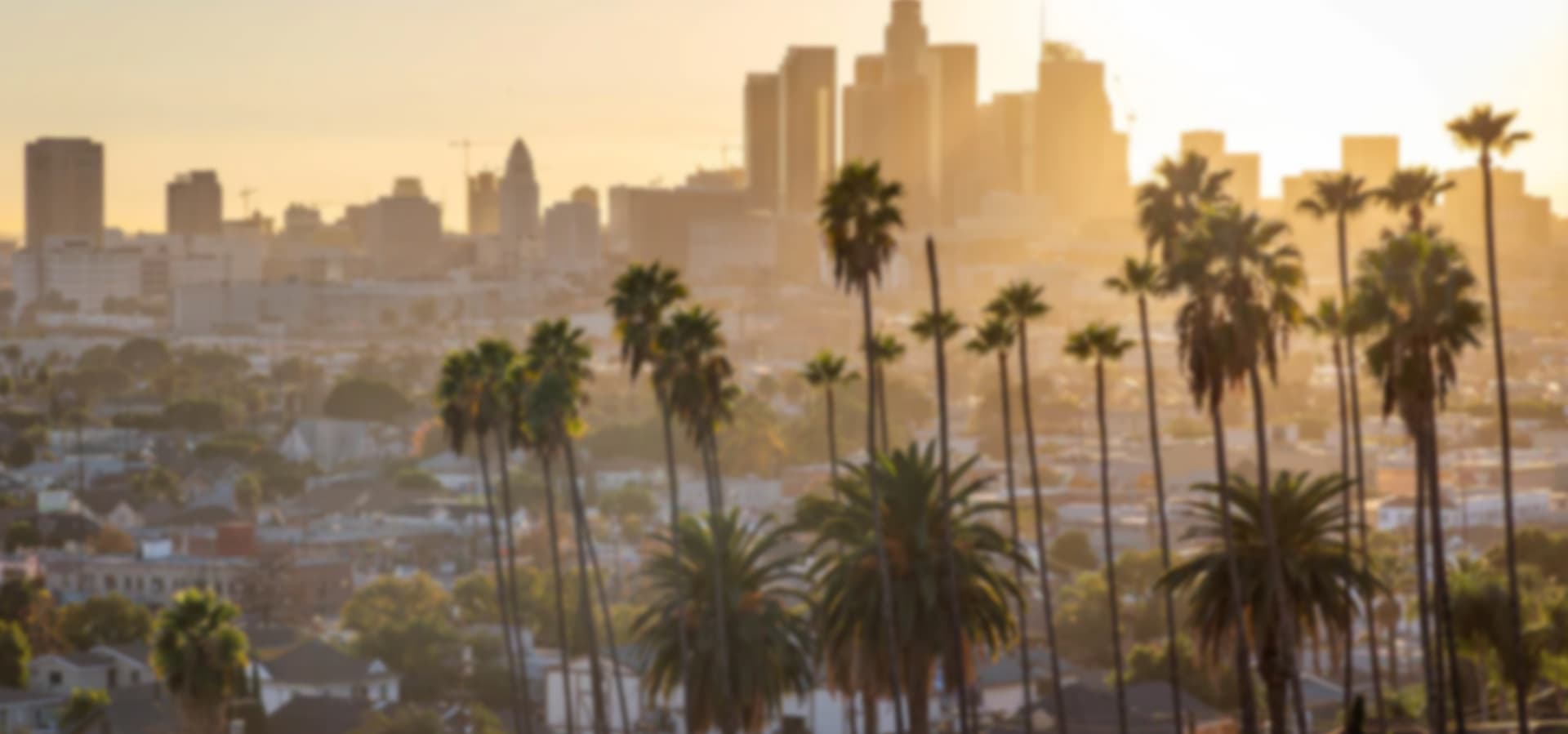 Designed in Los Angeles