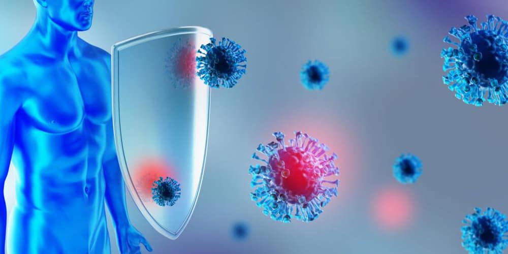 Guide: How to Build a Strong Immune System