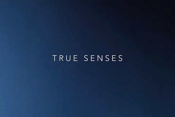 Ogawa True Senses